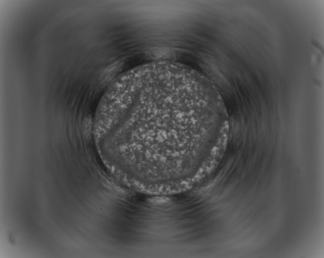 X0000091210189200709061446