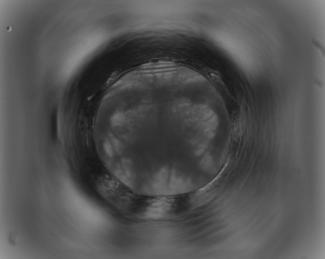 X0000091210191200709061446