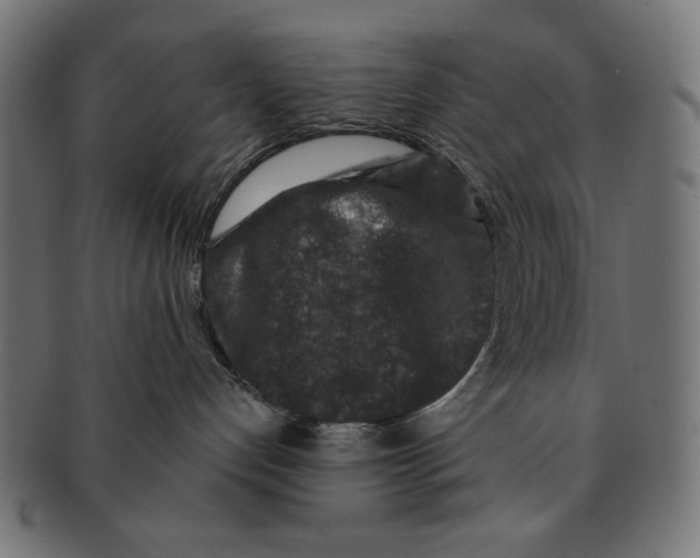 X0000091210192200709061446