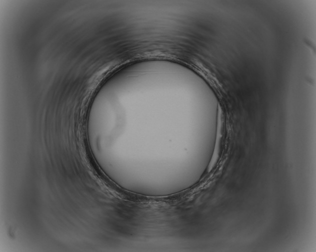 X0000091210193200709061446