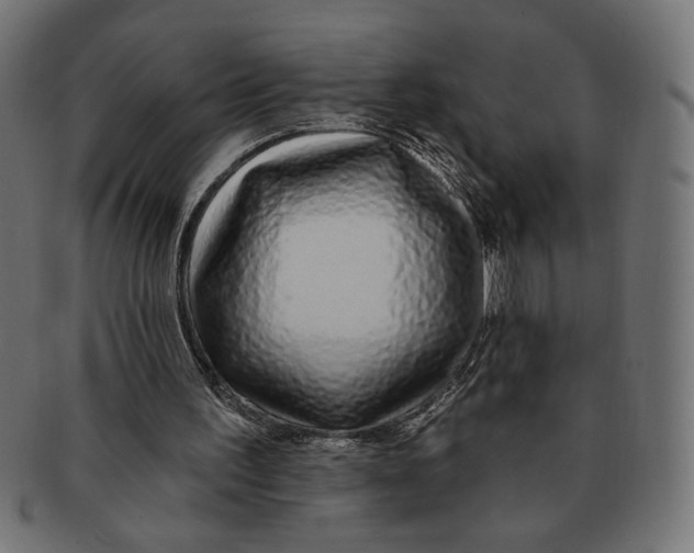 X0000091210195200709061446