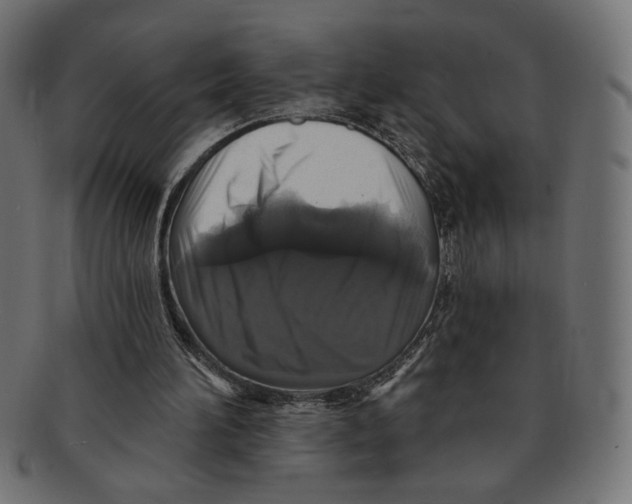 X0000091210196200709061446