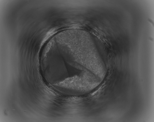 X0000091210198200709061446