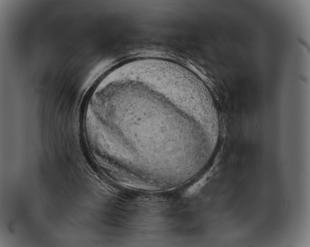 X0000091210199200709061446