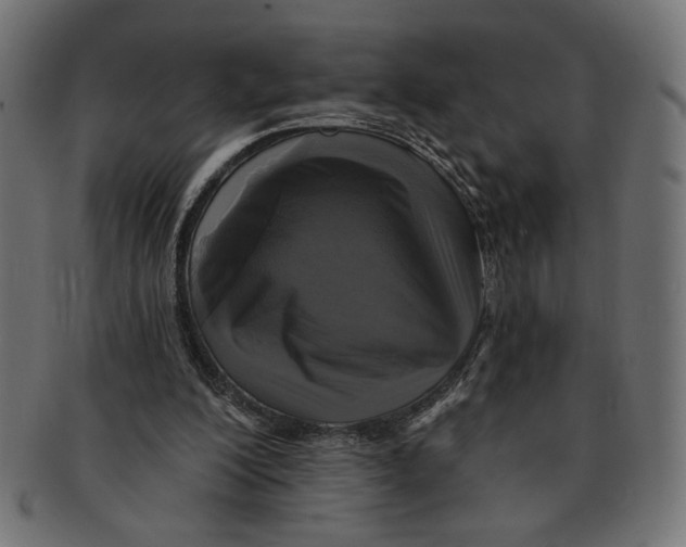 X0000091210200200709061446