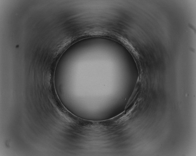 X0000091210201200709061446