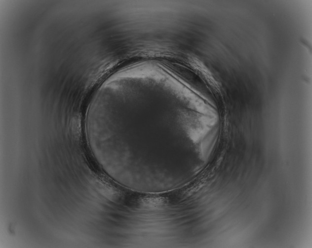 X0000091210202200709061446