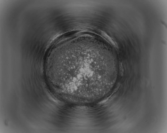 X0000091210203200709061446