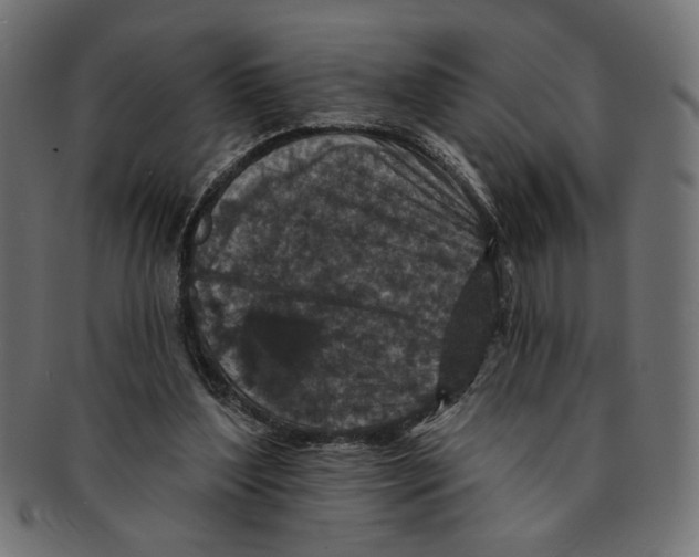 X0000091210204200709061446