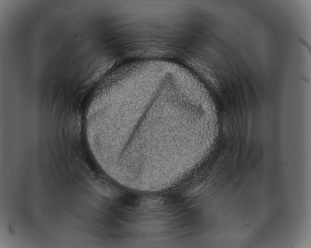 X0000091210206200709061446