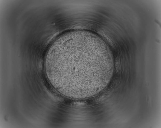 X0000091210208200709061446