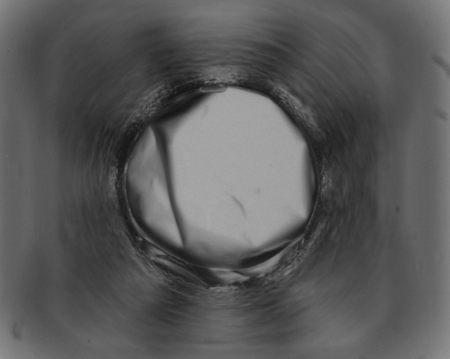 X0000091210209200709061446