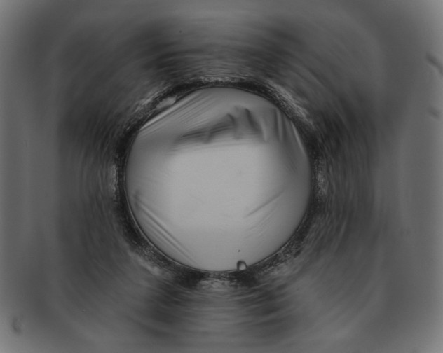 X0000091210211200709061446