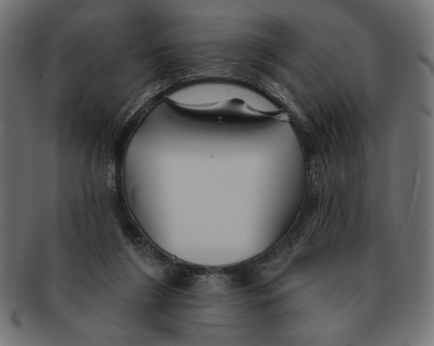 X0000091210212200709061446