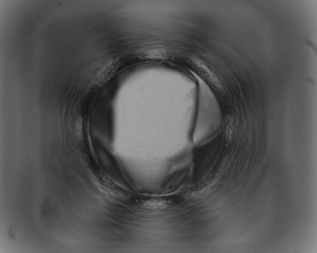 X0000091210213200709061446