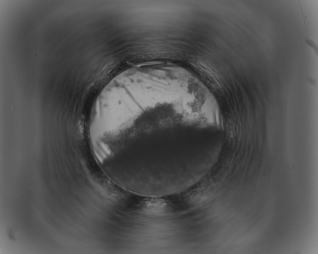 X0000091210214200709061446