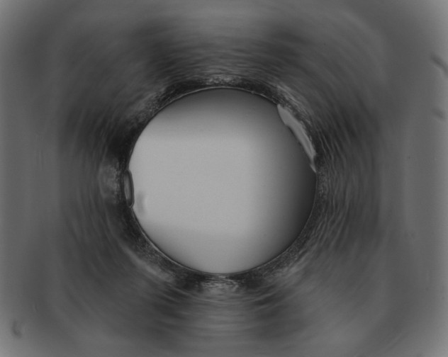 X0000091210215200709061446