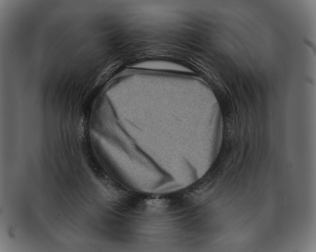 X0000091210216200709061446