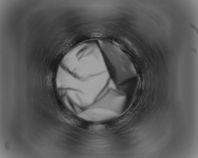 X0000091210217200709061446