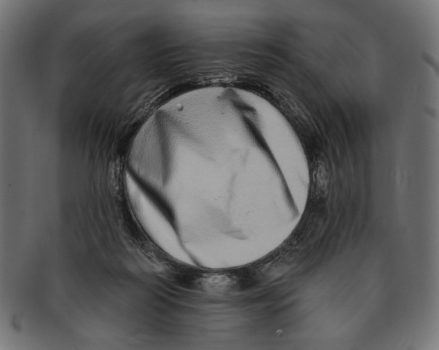 X0000091210218200709061446