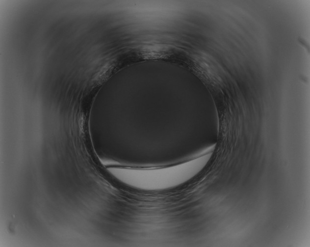 X0000091210219200709061446