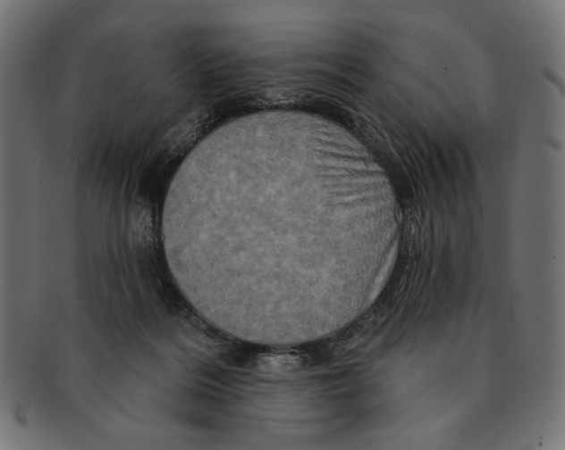 X0000091210220200709061446