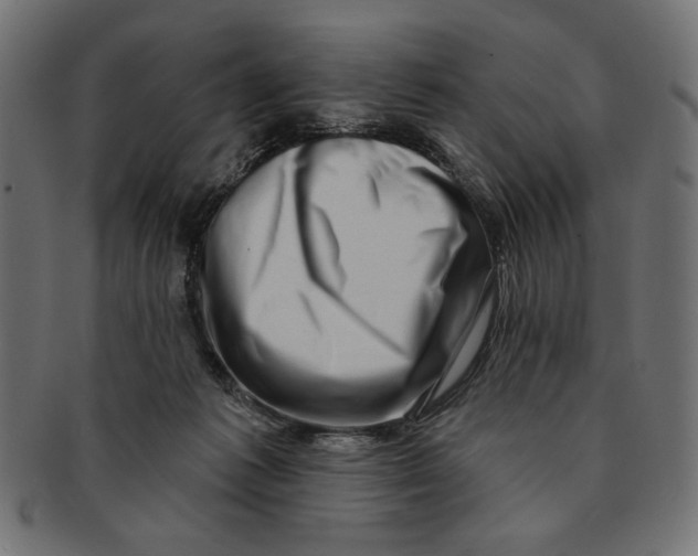 X0000091210221200709061446