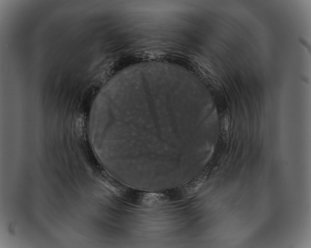 X0000091210222200709061446