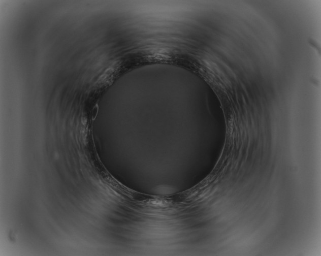 X0000091210223200709061446