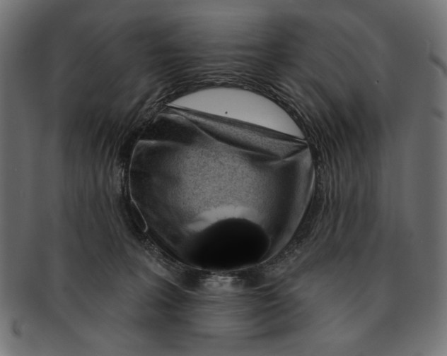 X0000091210227200709061446