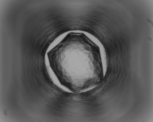 X0000091210228200709061446