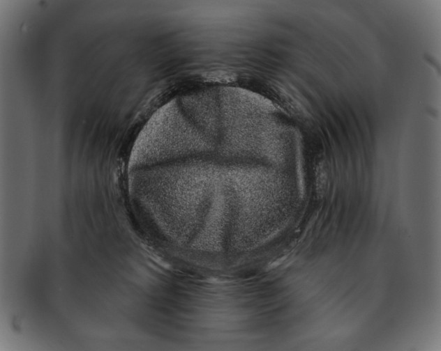 X0000091210229200709061446