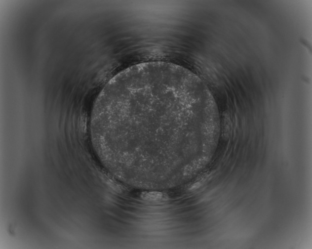 X0000091210230200709061445