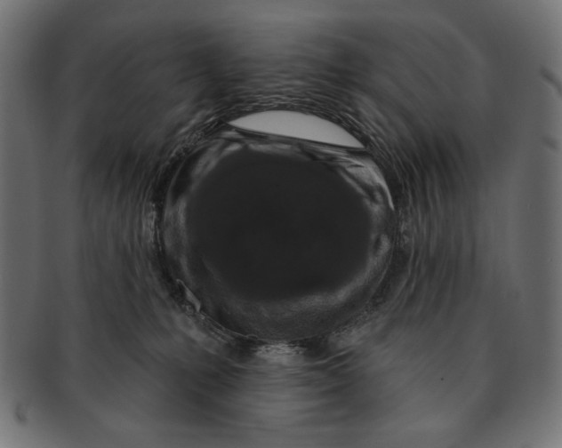 X0000091210231200709061445