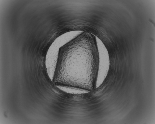 X0000091210232200709061445