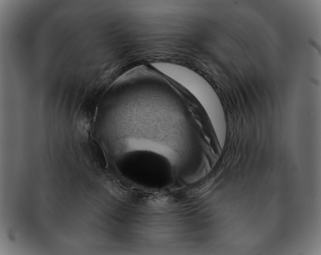 X0000091210235200709061445