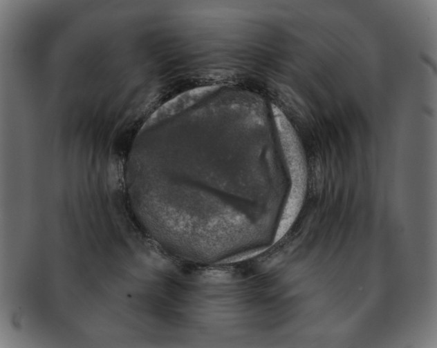 X0000091210236200709061445