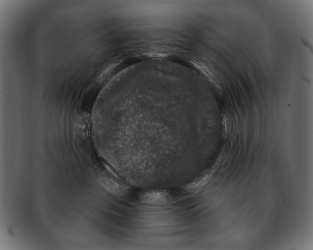 X0000091210237200709061445