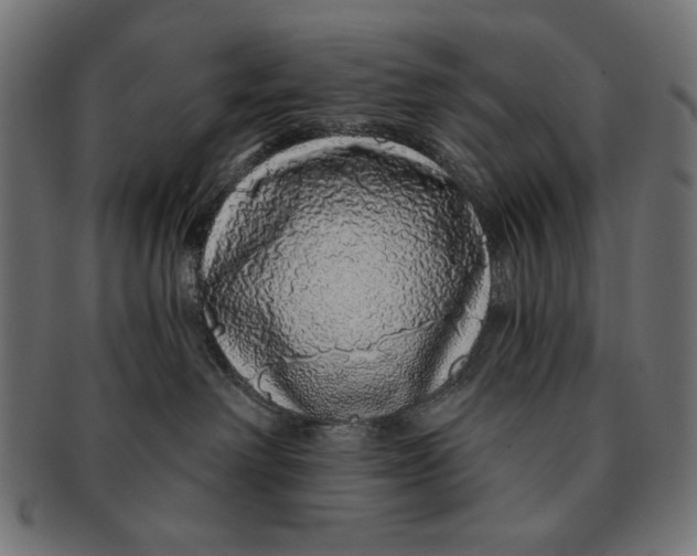 X0000091210238200709061445