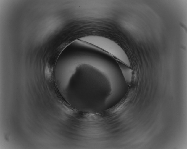 X0000091210239200709061445