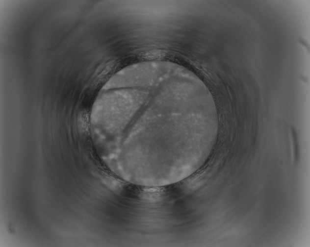 X0000091210240200709061445