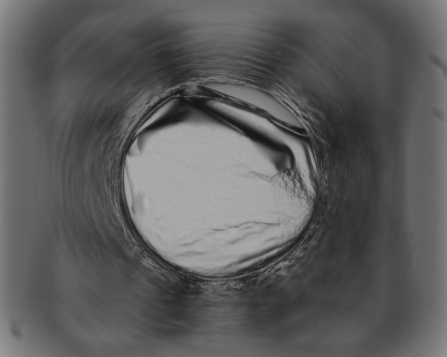 X0000091210241200709061445