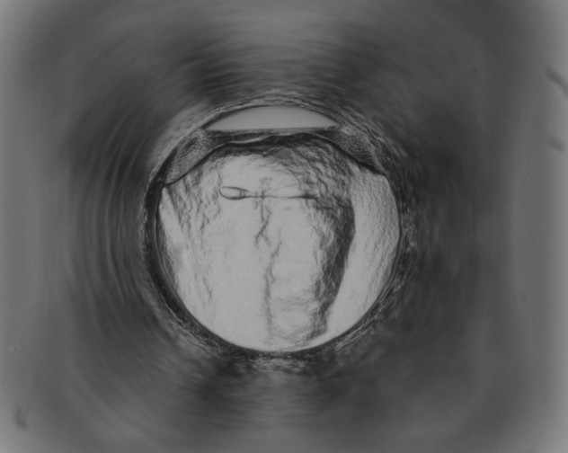 X0000091210242200709061445