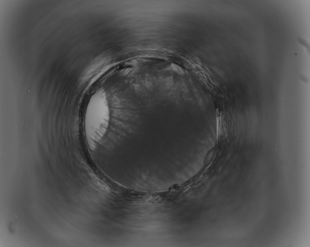 X0000091210243200709061445