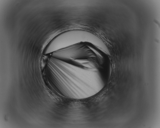 X0000091210244200709061445