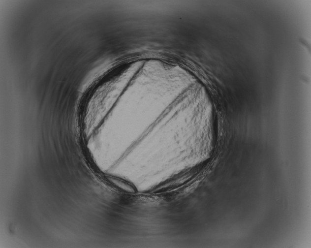 X0000091210245200709061445