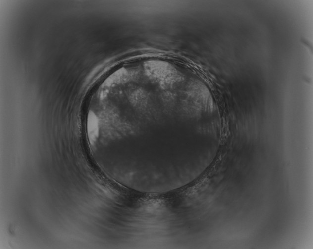 X0000091210247200709061445