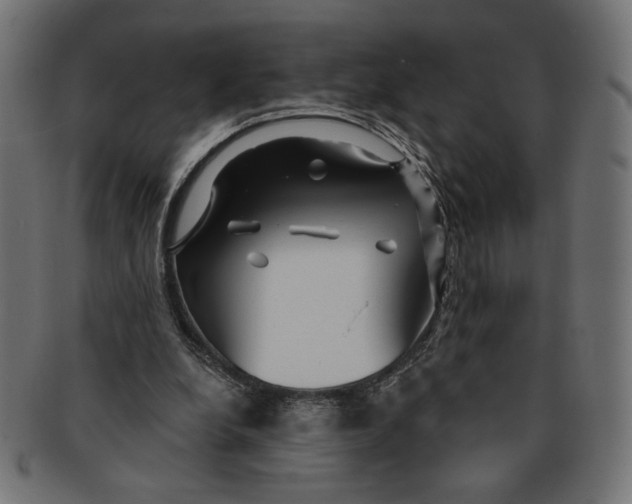 X0000091210248200709061445