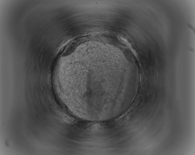 X0000091210249200709061445