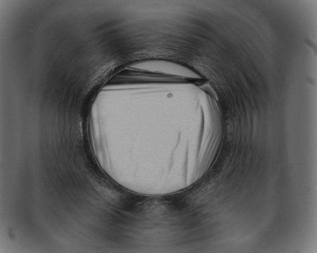 X0000091210254200709061445